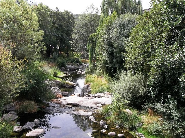 Nature