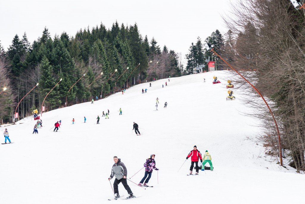 ski